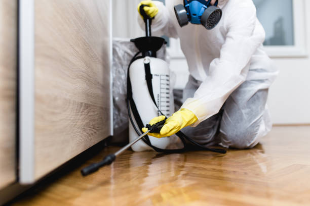 Best Best Pest Control Companies  in Blue Ridge, VA