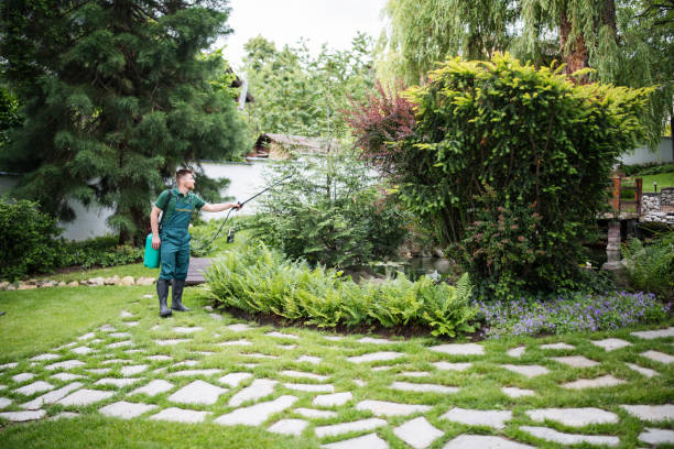 Wasp Removal Services in Blue Ridge, VA