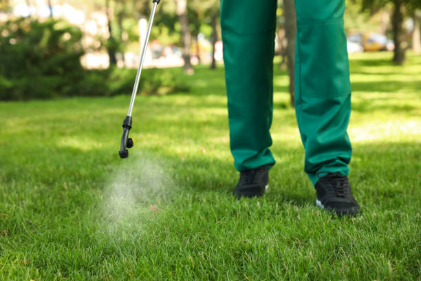 Best Flea Control Services  in Blue Ridge, VA
