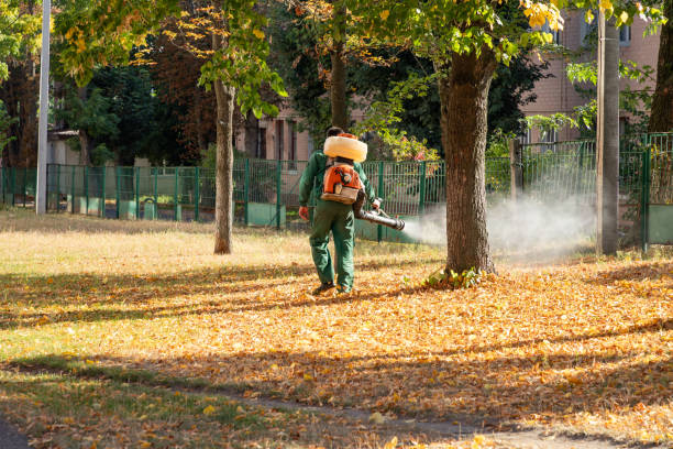 Blue Ridge, VA Pest Control Company